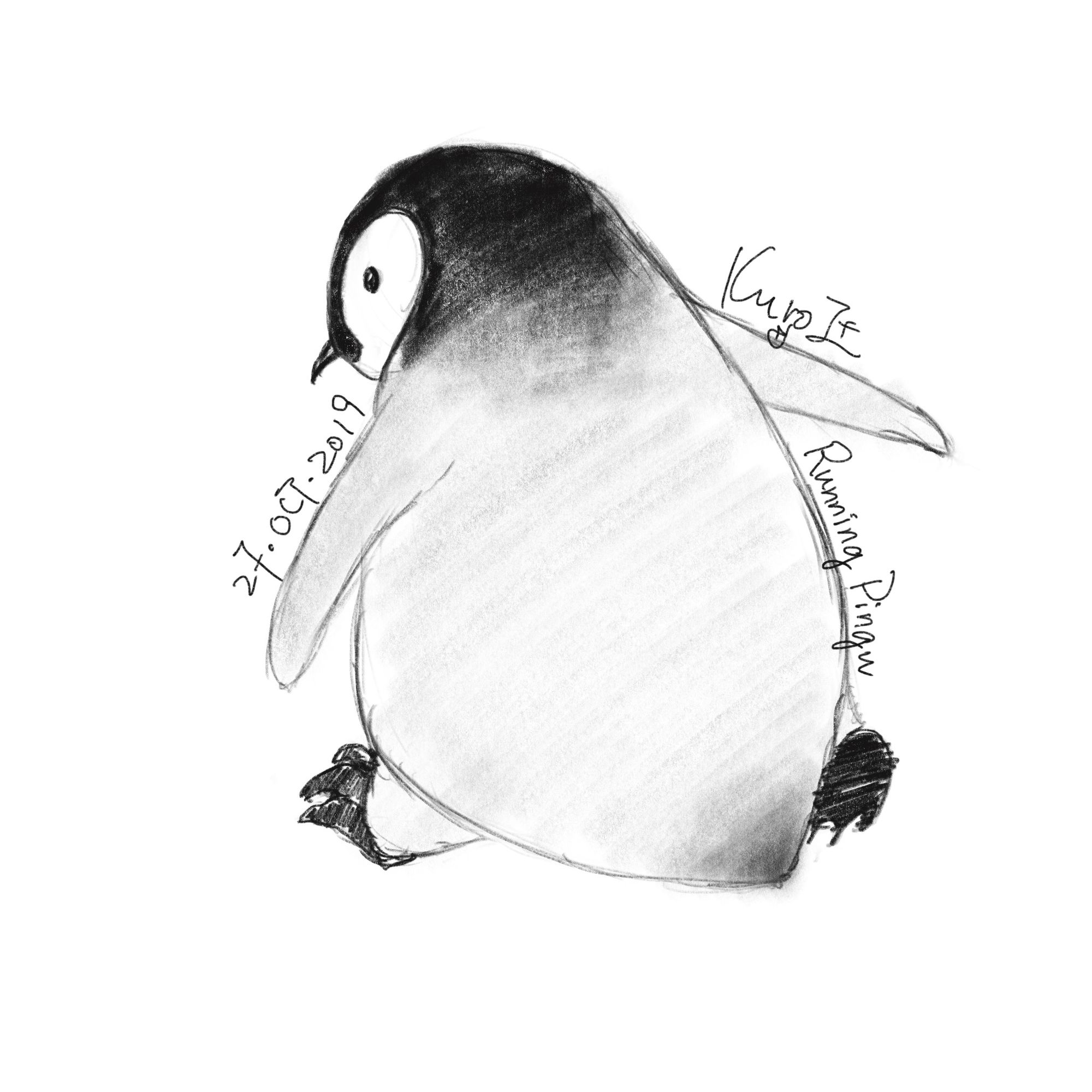 Pingu